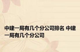 中建一局有几个分公司排名 中建一局有几个分公司