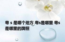 粤 s 是哪个地方 粤s是哪里 粤s是哪里的牌照