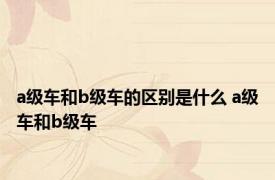a级车和b级车的区别是什么 a级车和b级车 