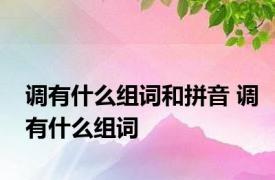 调有什么组词和拼音 调有什么组词