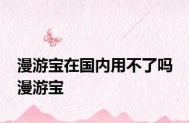 漫游宝在国内用不了吗 漫游宝 