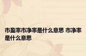 市盈率市净率是什么意思 市净率是什么意思 