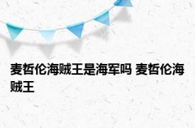 麦哲伦海贼王是海军吗 麦哲伦海贼王 