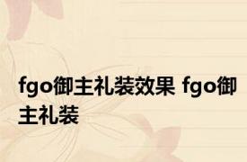 fgo御主礼装效果 fgo御主礼装 