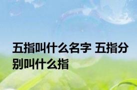 五指叫什么名字 五指分别叫什么指