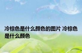 冷棕色是什么颜色的图片 冷棕色是什么颜色