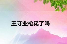 王守业枪毙了吗