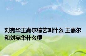 刘宪华王嘉尔综艺叫什么 王嘉尔和刘宪华什么梗