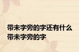 带未字旁的字还有什么 带未字旁的字
