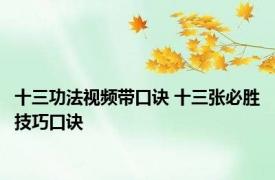 十三功法视频带口诀 十三张必胜技巧口诀 