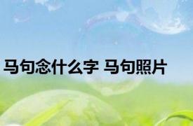 马句念什么字 马句照片 