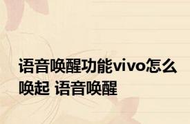 语音唤醒功能vivo怎么唤起 语音唤醒 