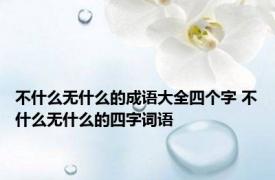不什么无什么的成语大全四个字 不什么无什么的四字词语