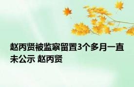 赵丙贤被监察留置3个多月一直未公示 赵丙贤 