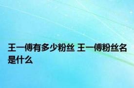 王一傅有多少粉丝 王一傅粉丝名是什么 