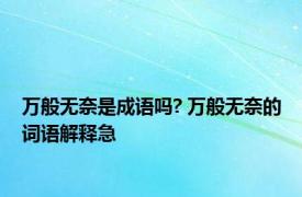万般无奈是成语吗? 万般无奈的词语解释急