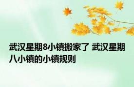武汉星期8小镇搬家了 武汉星期八小镇的小镇规则