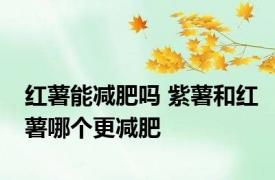 红薯能减肥吗 紫薯和红薯哪个更减肥