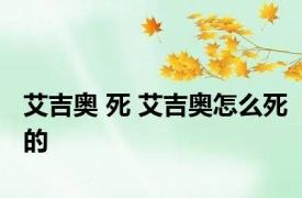 艾吉奥 死 艾吉奥怎么死的