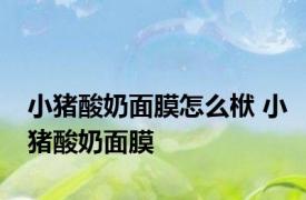 小猪酸奶面膜怎么栿 小猪酸奶面膜 
