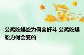 公鸡吃蜈蚣为何会好斗 公鸡吃蜈蚣为何会变凶 