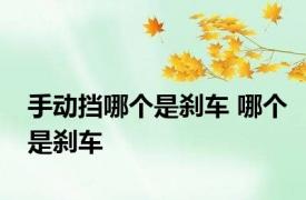 手动挡哪个是刹车 哪个是刹车