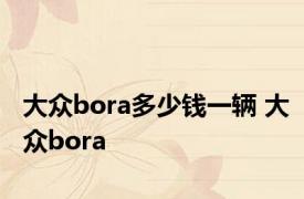 大众bora多少钱一辆 大众bora 