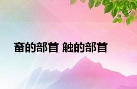 畜的部首 触的部首 