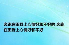 奔跑在田野上心情好和不好的 奔跑在田野上心情好和不好 