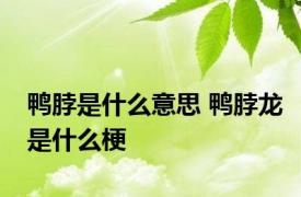 鸭脖是什么意思 鸭脖龙是什么梗