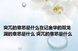 突兀的意思是什么在记金华的双龙洞的意思是什么 突兀的意思是什么 