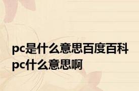 pc是什么意思百度百科 pc什么意思啊