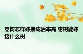 枣树怎样嫁接成活率高 枣树能嫁接什么树