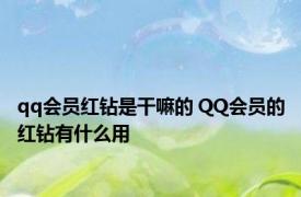 qq会员红钻是干嘛的 QQ会员的红钻有什么用