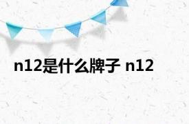 n12是什么牌子 n12 