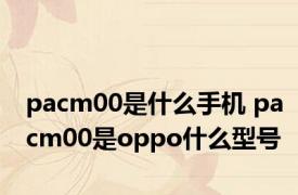 pacm00是什么手机 pacm00是oppo什么型号