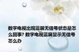 数字电视出现蓝屏无信号状态是怎么回事? 数字电视蓝屏显示无信号怎么办