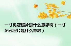 一寸免冠照片是什么意思啊（一寸免冠照片是什么意思）