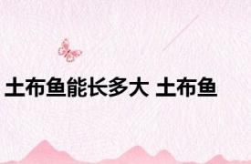 土布鱼能长多大 土布鱼 