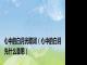 心中的白月光歌词（心中的白月光什么意思）