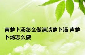 青萝卜汤怎么做清淡萝卜汤 青萝卜汤怎么做