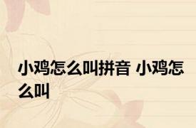 小鸡怎么叫拼音 小鸡怎么叫 