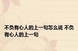 不负有心人的上一句怎么说 不负有心人的上一句