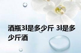 酒瓶3l是多少斤 3l是多少斤酒