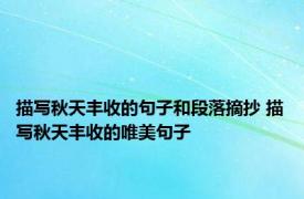 描写秋天丰收的句子和段落摘抄 描写秋天丰收的唯美句子