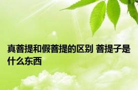 真菩提和假菩提的区别 菩提子是什么东西