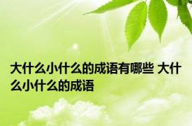 大什么小什么的成语有哪些 大什么小什么的成语