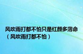 风吹雨打都不怕只是红颜多薄命（风吹雨打都不怕）