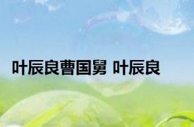 叶辰良曹国舅 叶辰良 