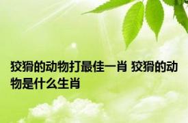 狡猾的动物打最佳一肖 狡猾的动物是什么生肖 